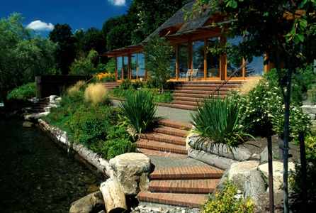 Shoreline planting